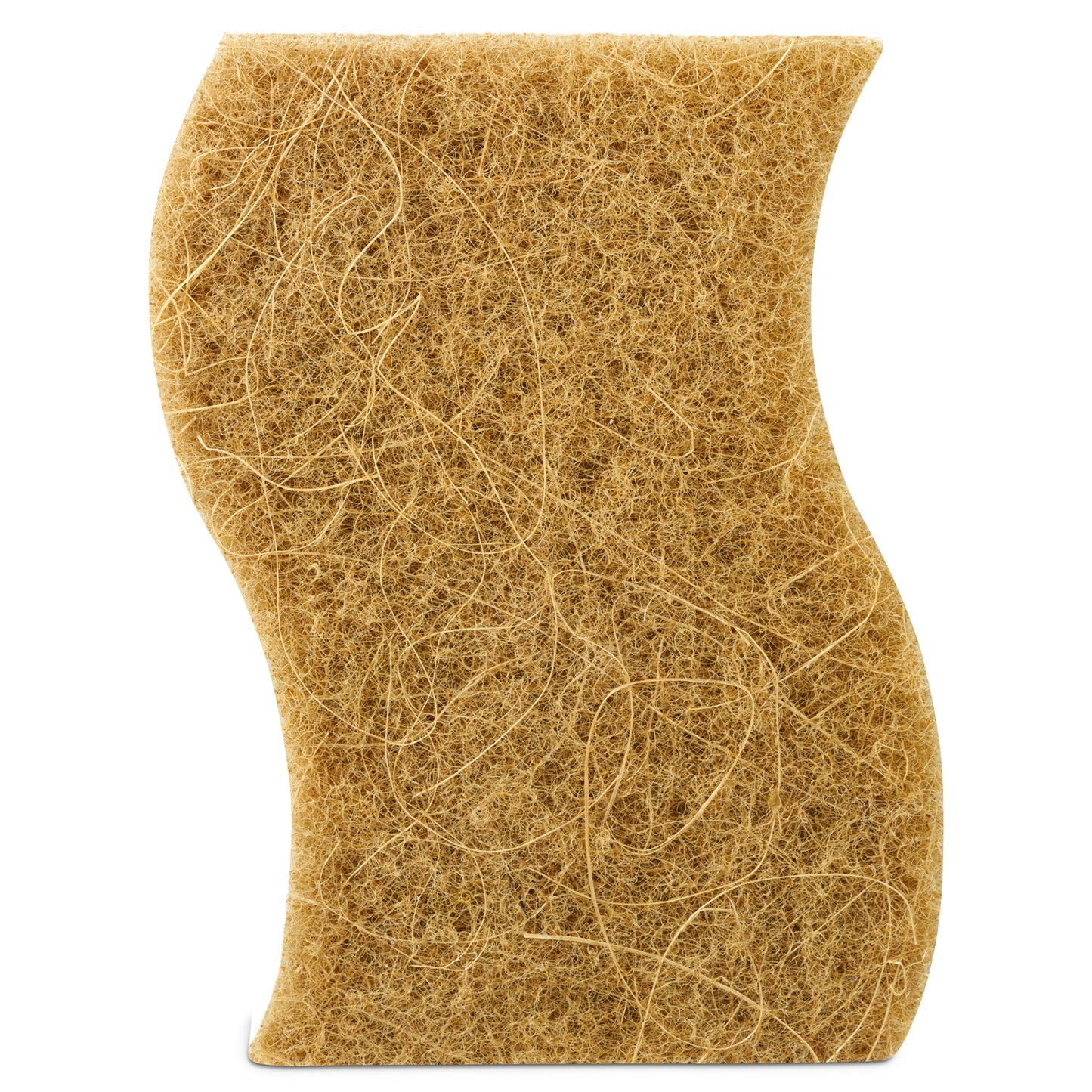 Biodegradable Eco Sponge - 9 Pack